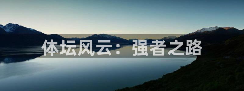 球王会体育