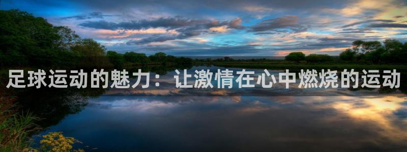 球王会体育
