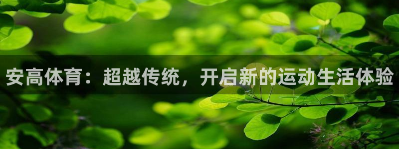 球王会体育：安高体育：超越传统，开启新的运动生活体验