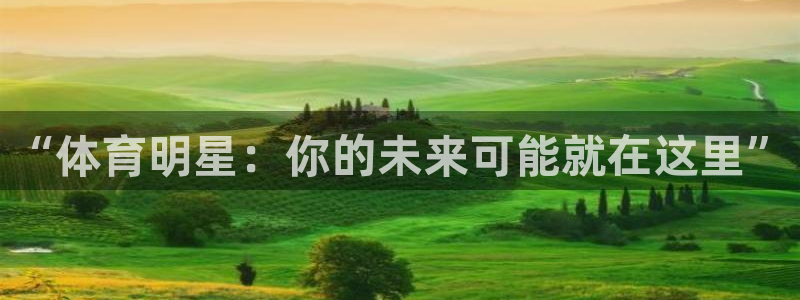 球王会体育：“体育明星：你的未来可能就在这里”