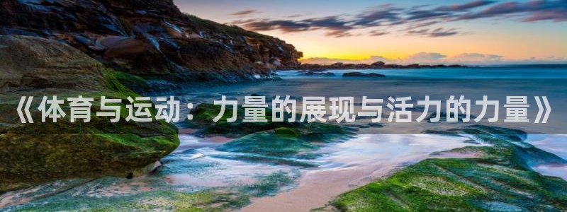 球王会体育：《体育与运动：力量的展现与活力的力量》