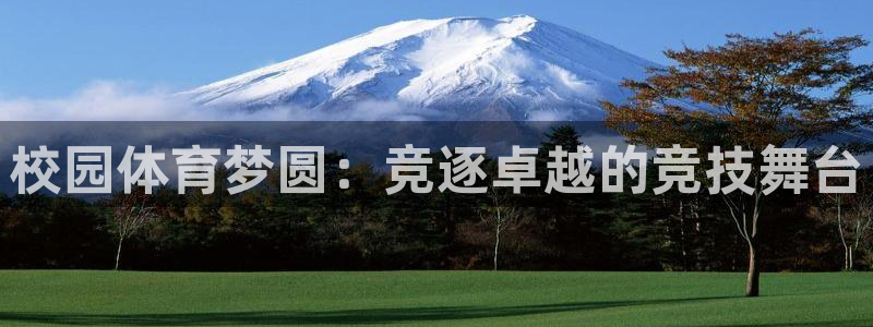球王会体育：校园体育梦圆：竞逐卓越的竞技舞台
