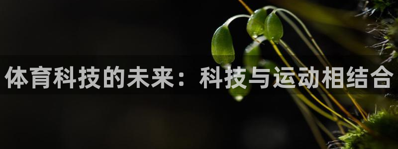 球王会体育：体育科技的未来：科技与运动相结合
