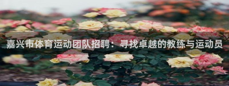 球王会体育：嘉兴市体育运动团队招聘：寻找卓越的教练与运动员