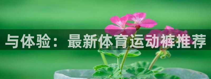 球王会体育：与体验：最新体育运动裤推荐