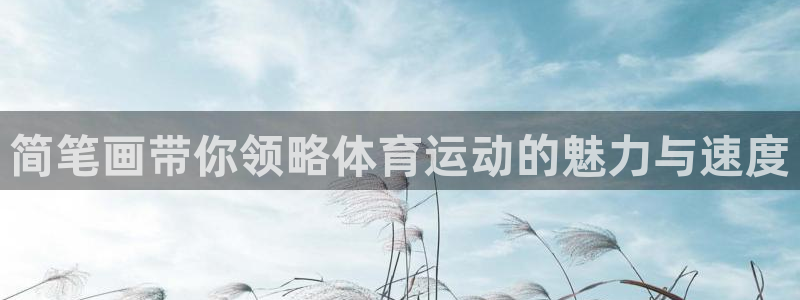 球王会体育：简笔画带你领略体育运动的魅力与速度
