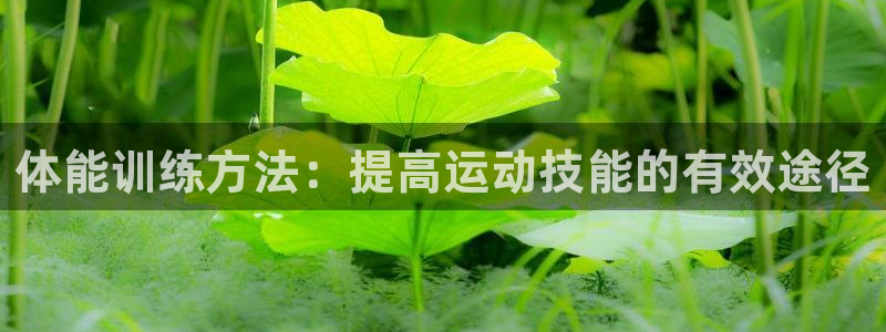 球王会体育：体能训练方法：提高运动技能的有效途径
