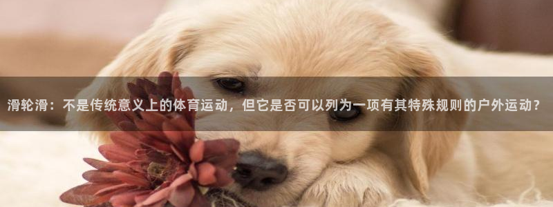 球王会体育