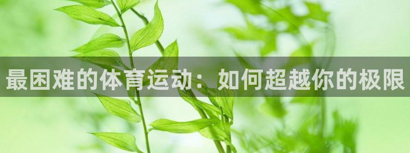 球王会体育