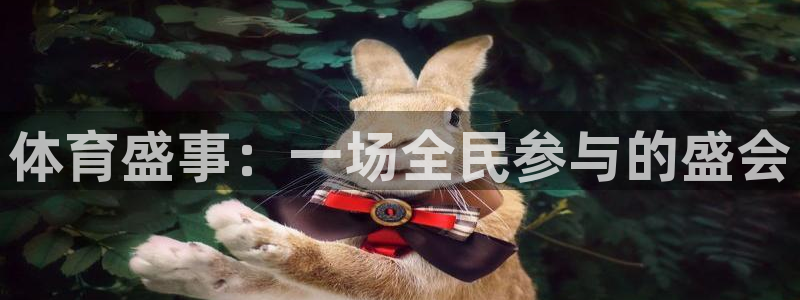 球王会体育：体育盛事：一场全民参与的盛会